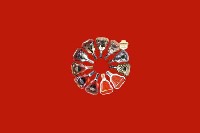 石嘴山回收红酒